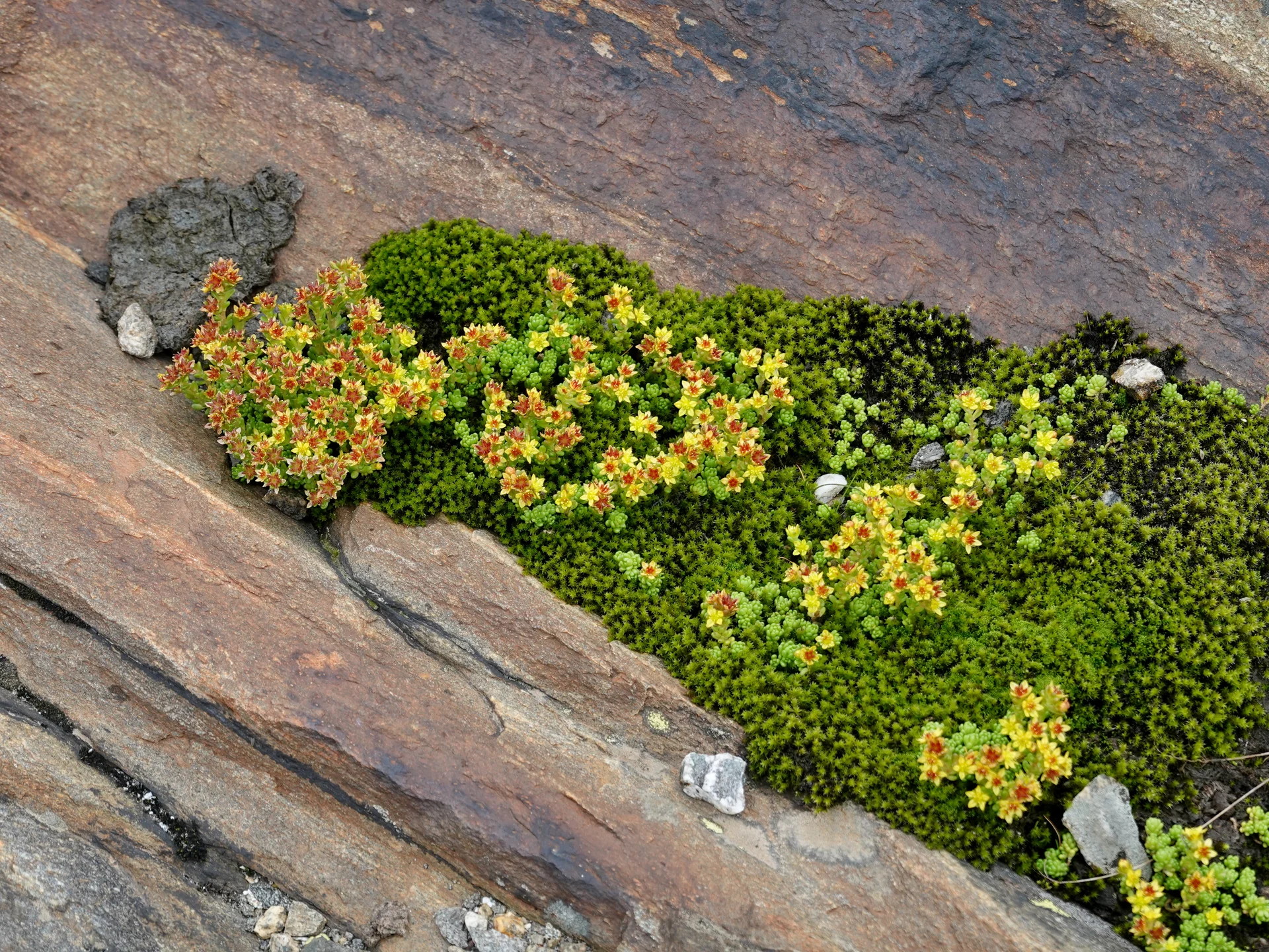 © Bergfreunde München 