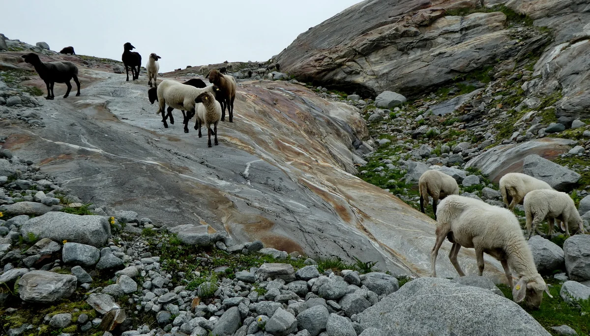 © Bergfreunde München 