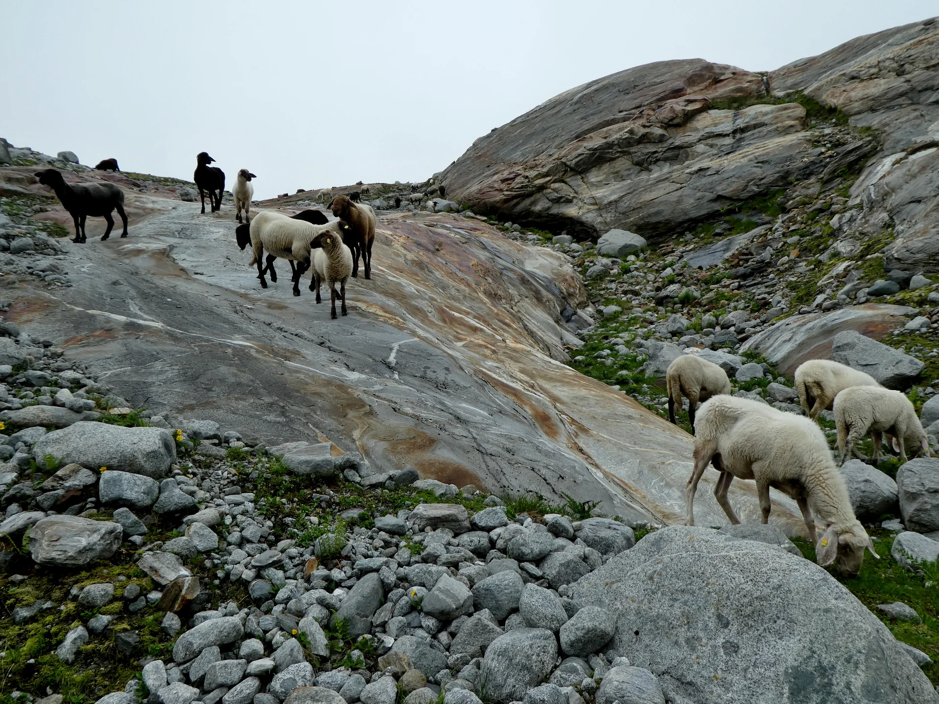 © Bergfreunde München 