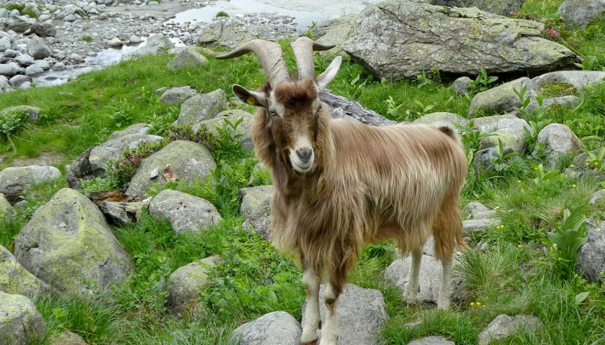 © Bergfreunde München 