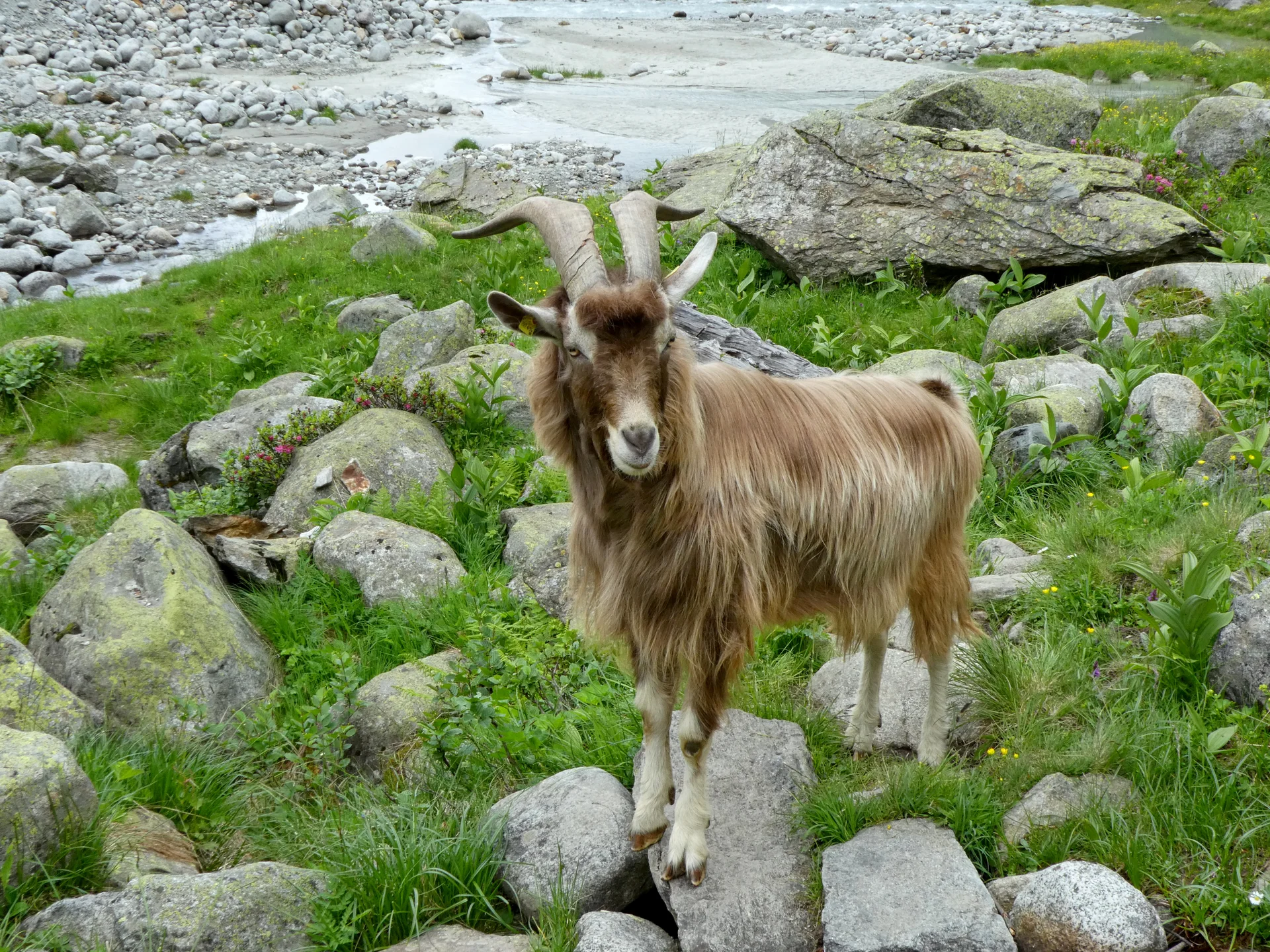 © Bergfreunde München 