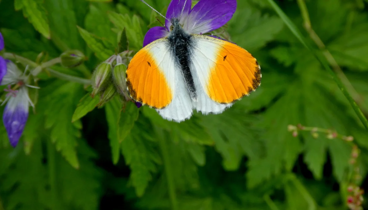 © Bergfreunde München 