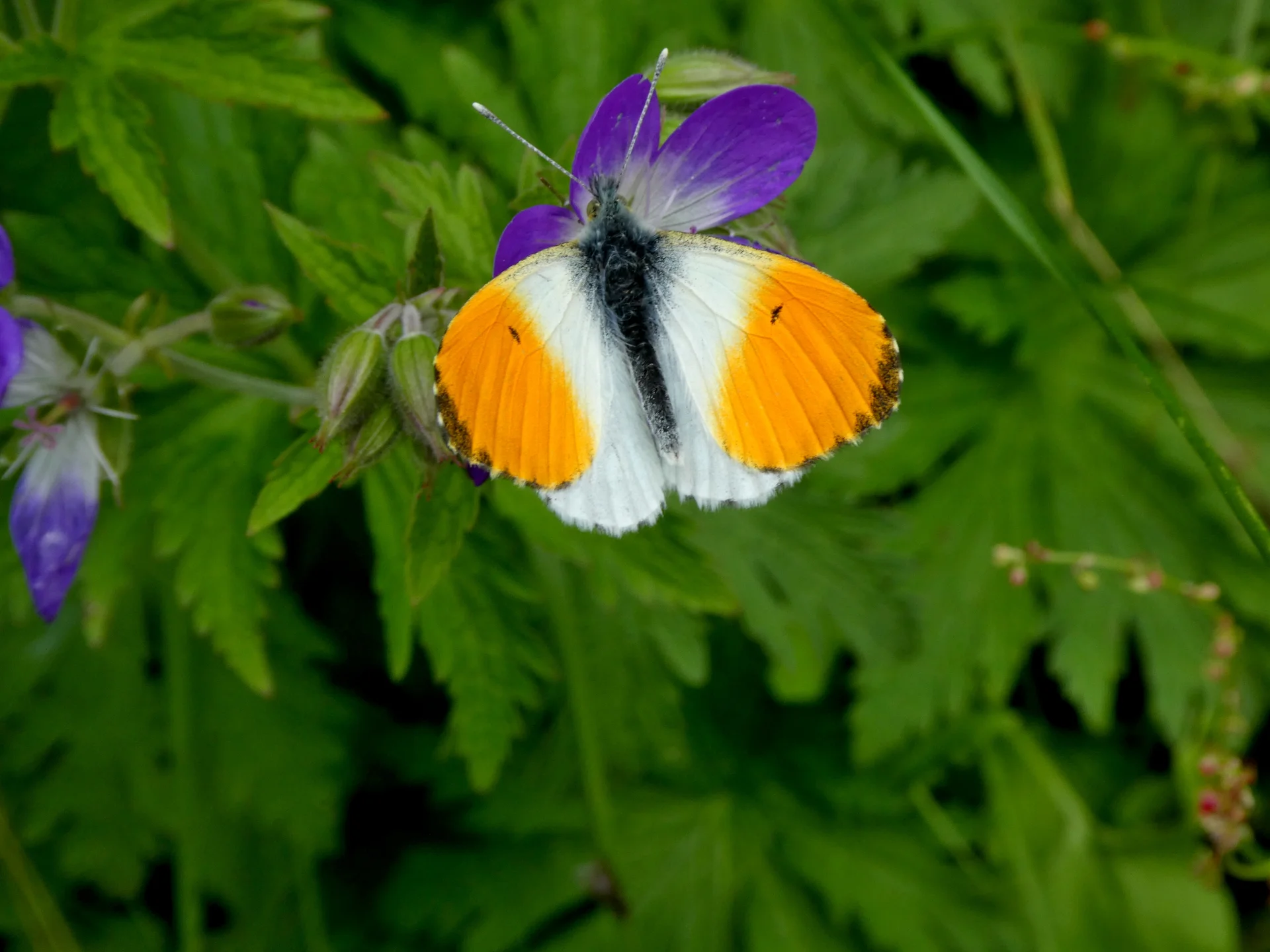 © Bergfreunde München 
