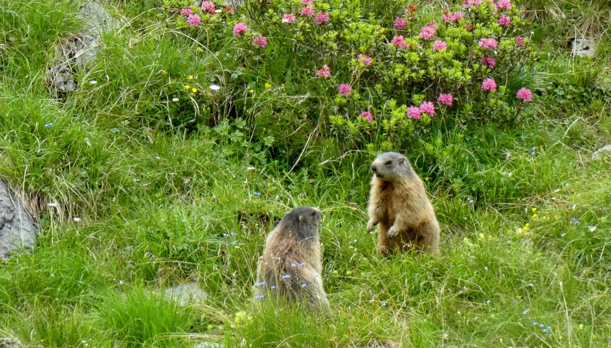 © Bergfreunde München 