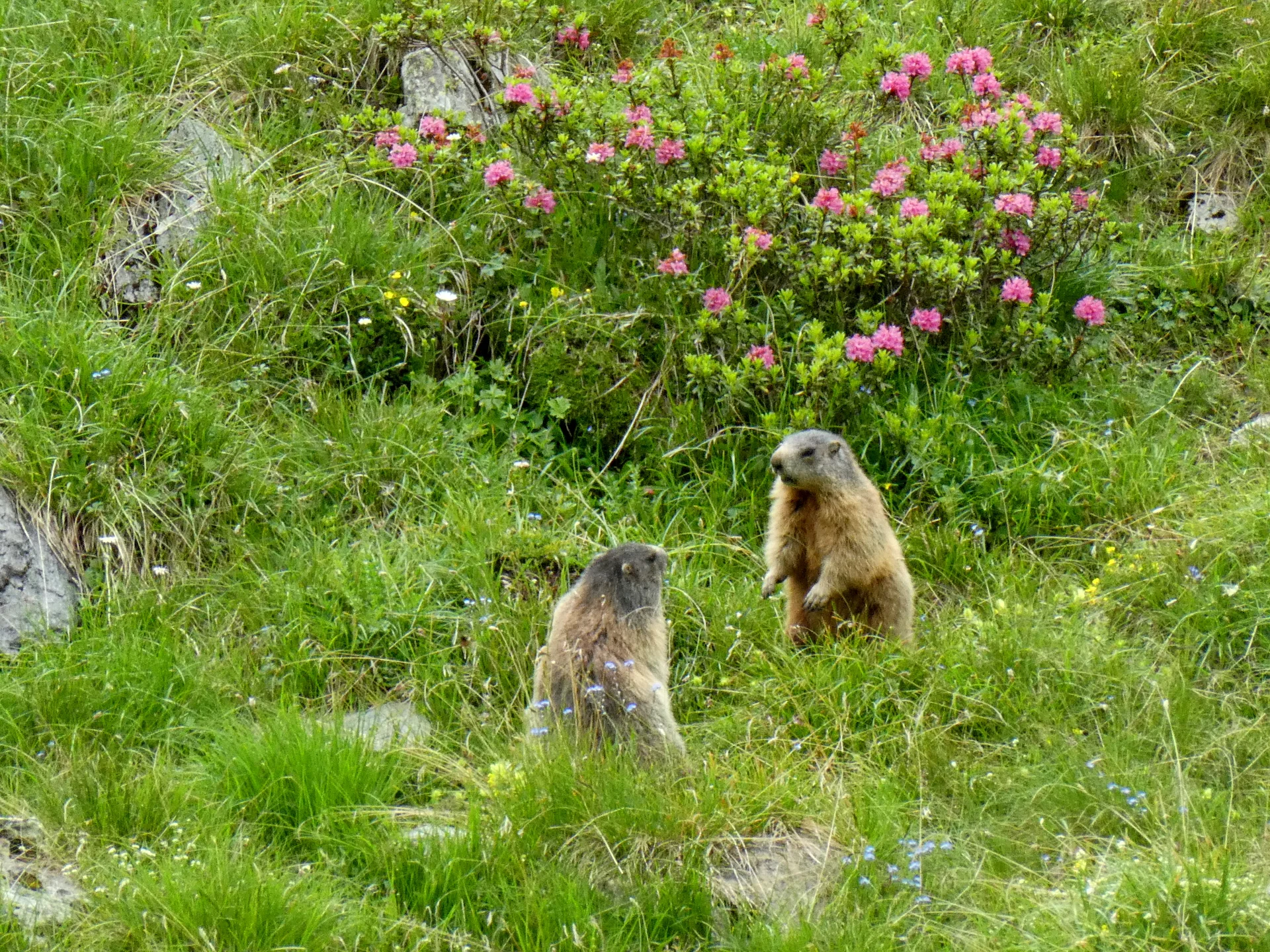 © Bergfreunde München 