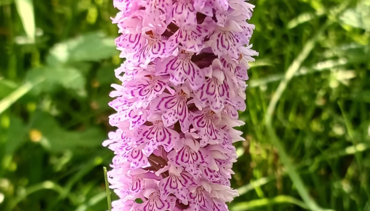 © Bergfreunde München