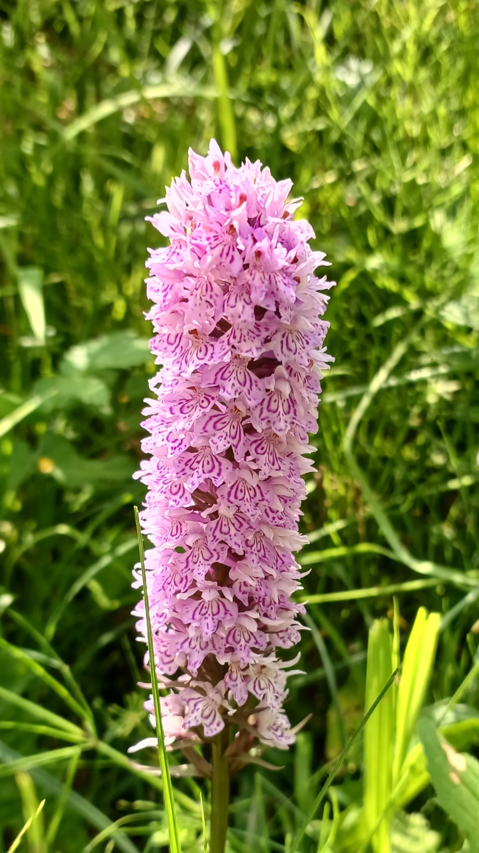 © Bergfreunde München