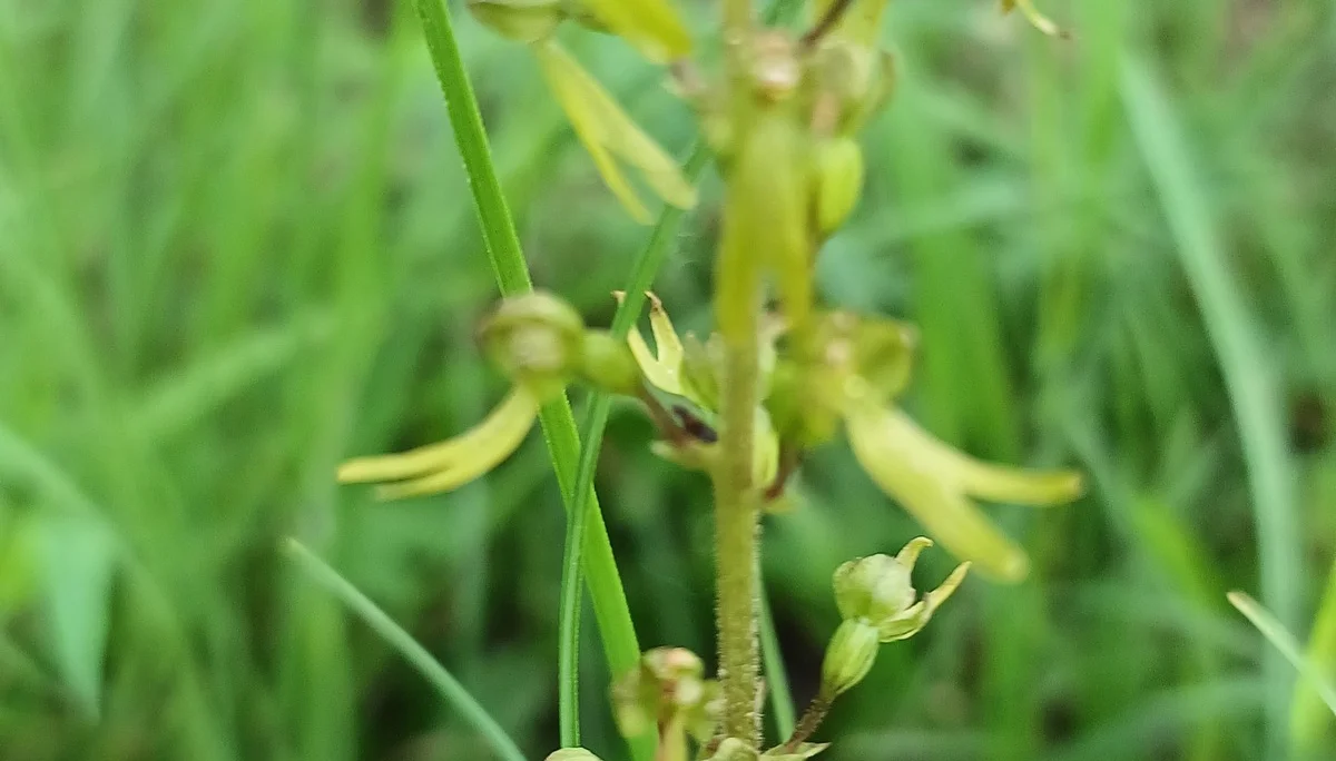 © Bergfreunde München
