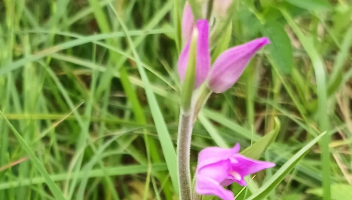 © Bergfreunde München