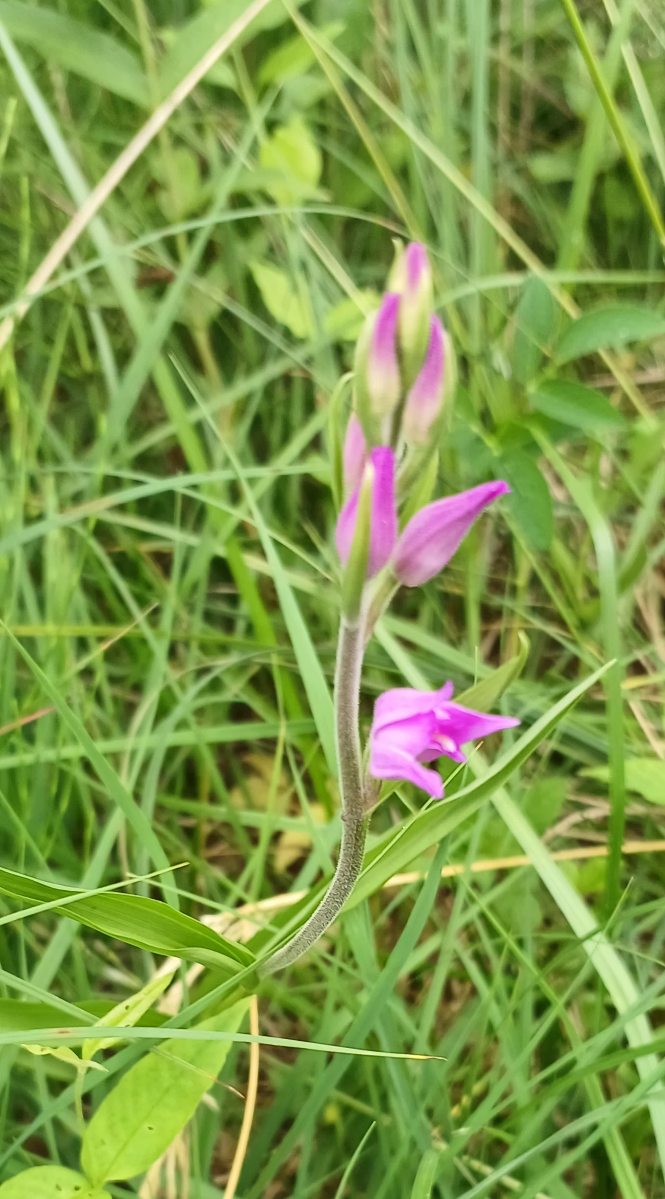 © Bergfreunde München