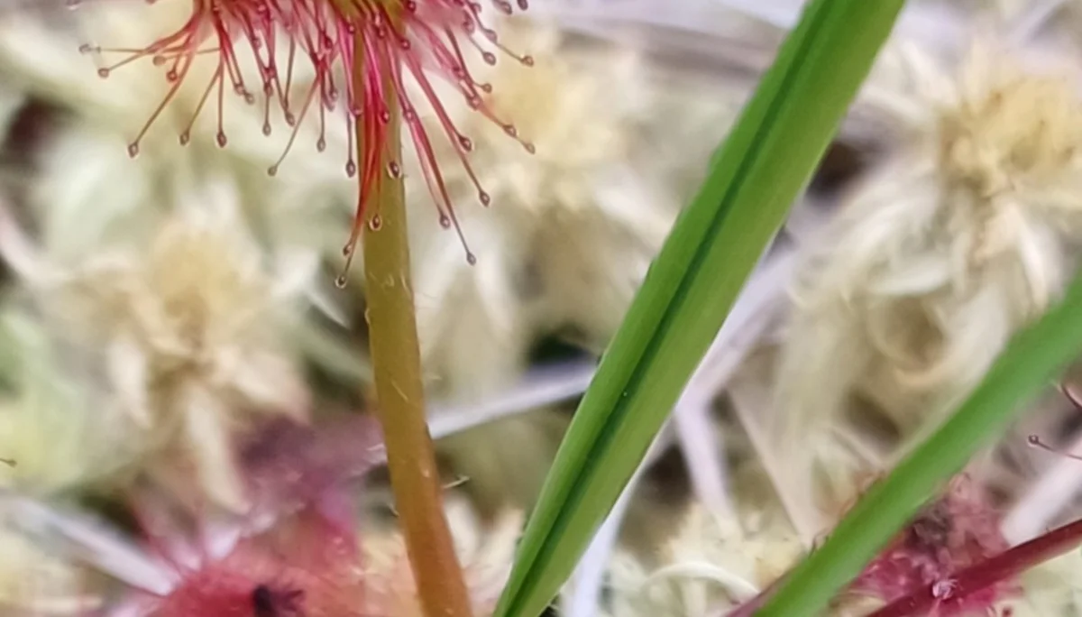 © Bergfreunde München