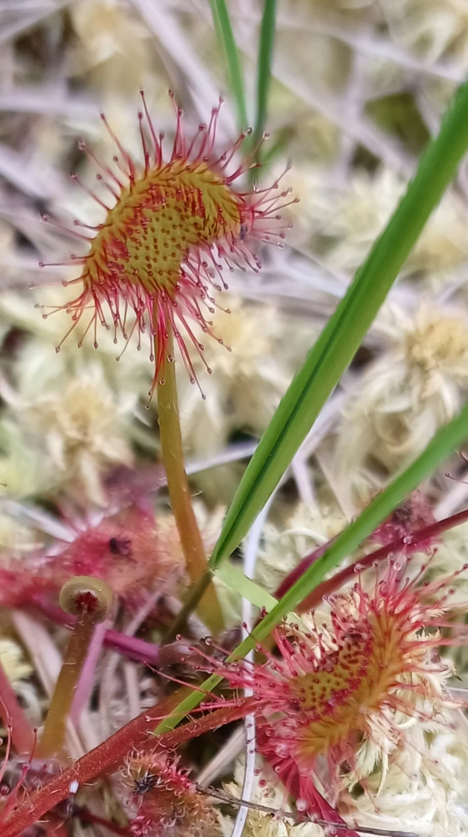 © Bergfreunde München