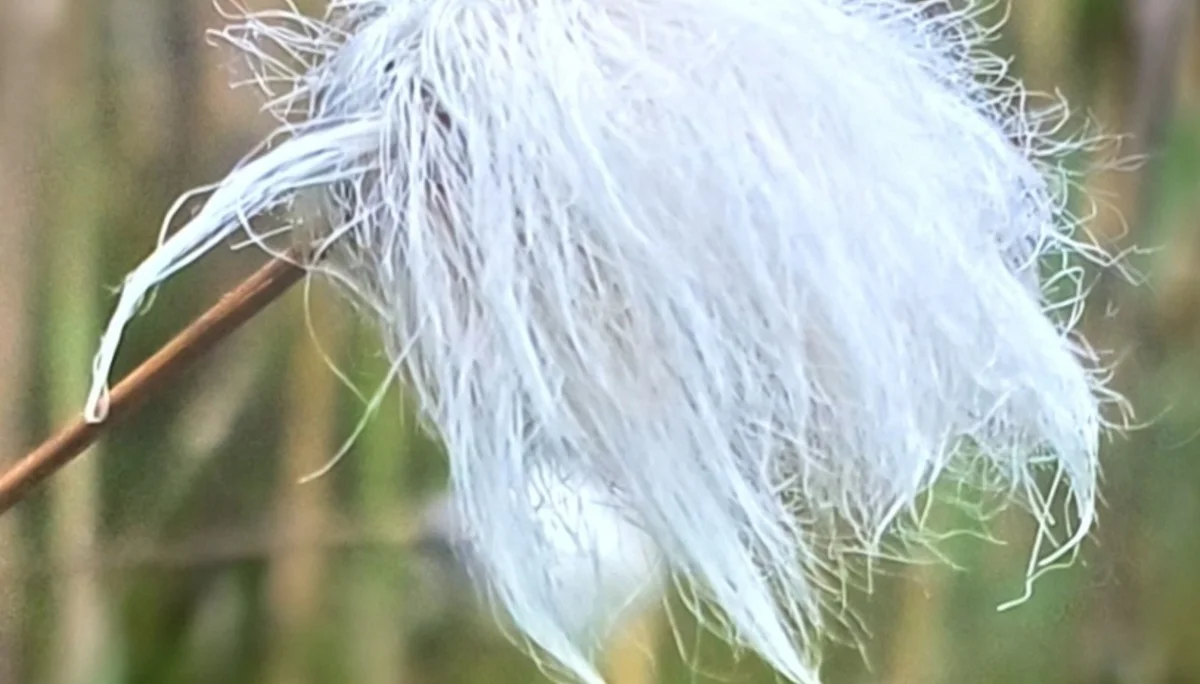 © Bergfreunde München