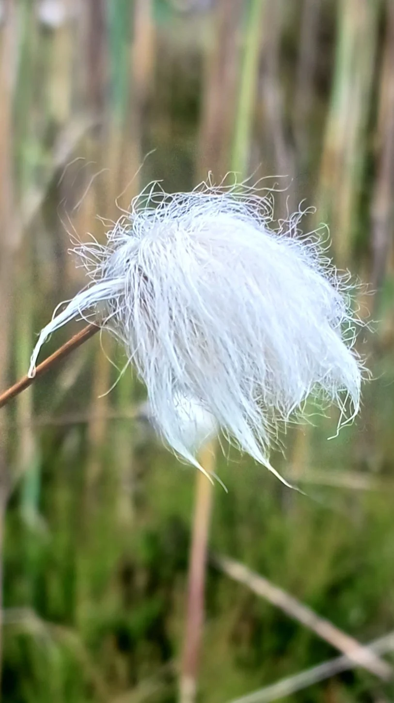 © Bergfreunde München