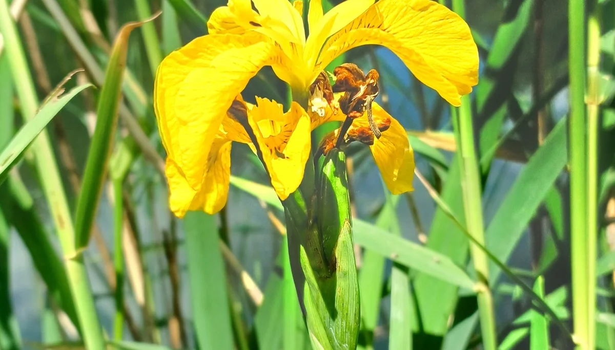 © Bergfreunde München