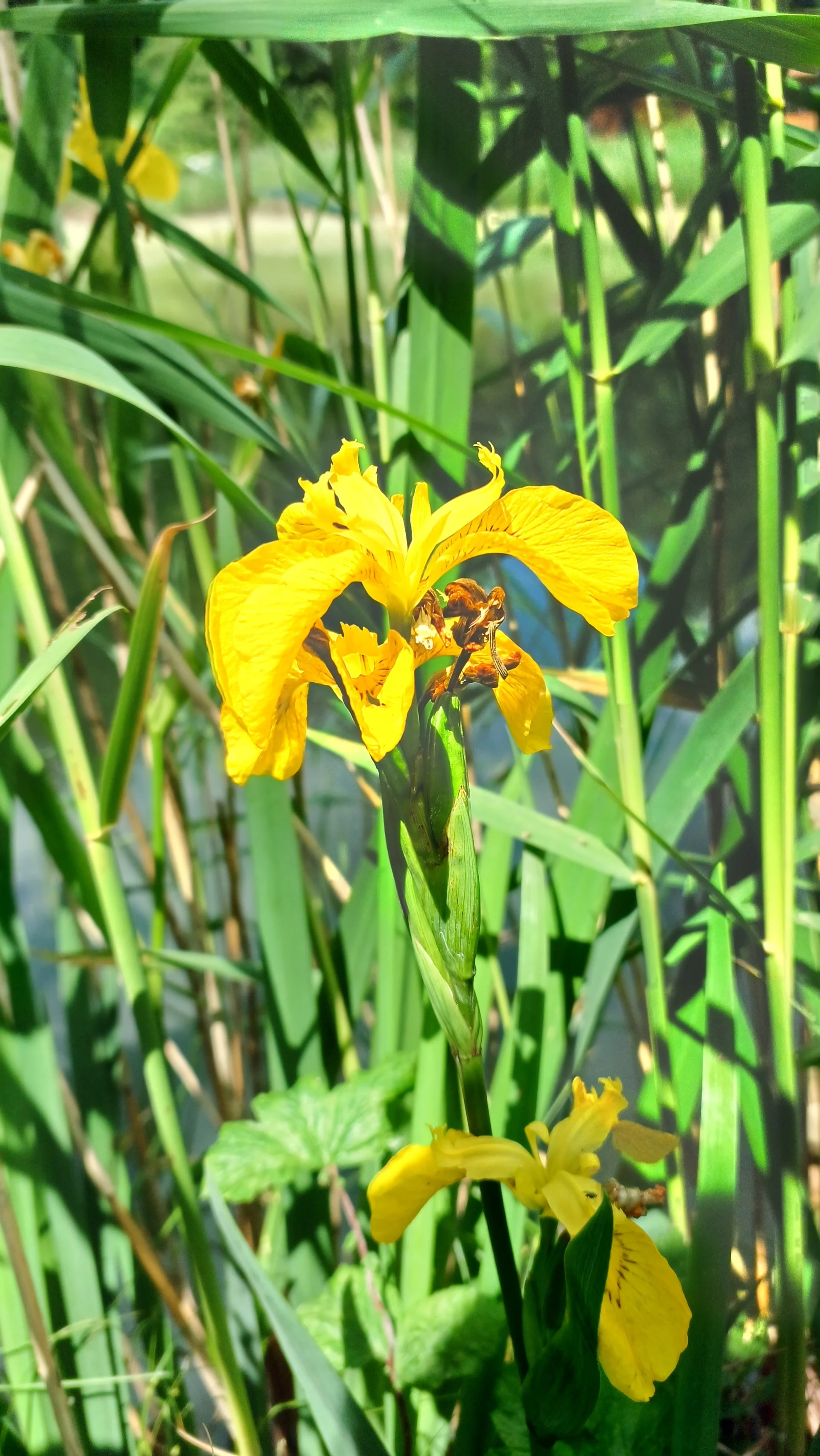 © Bergfreunde München