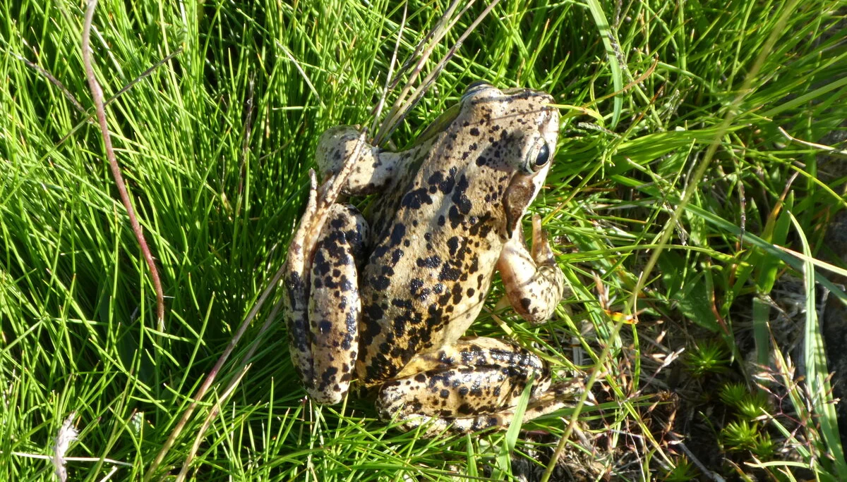 © Bergfreunde München