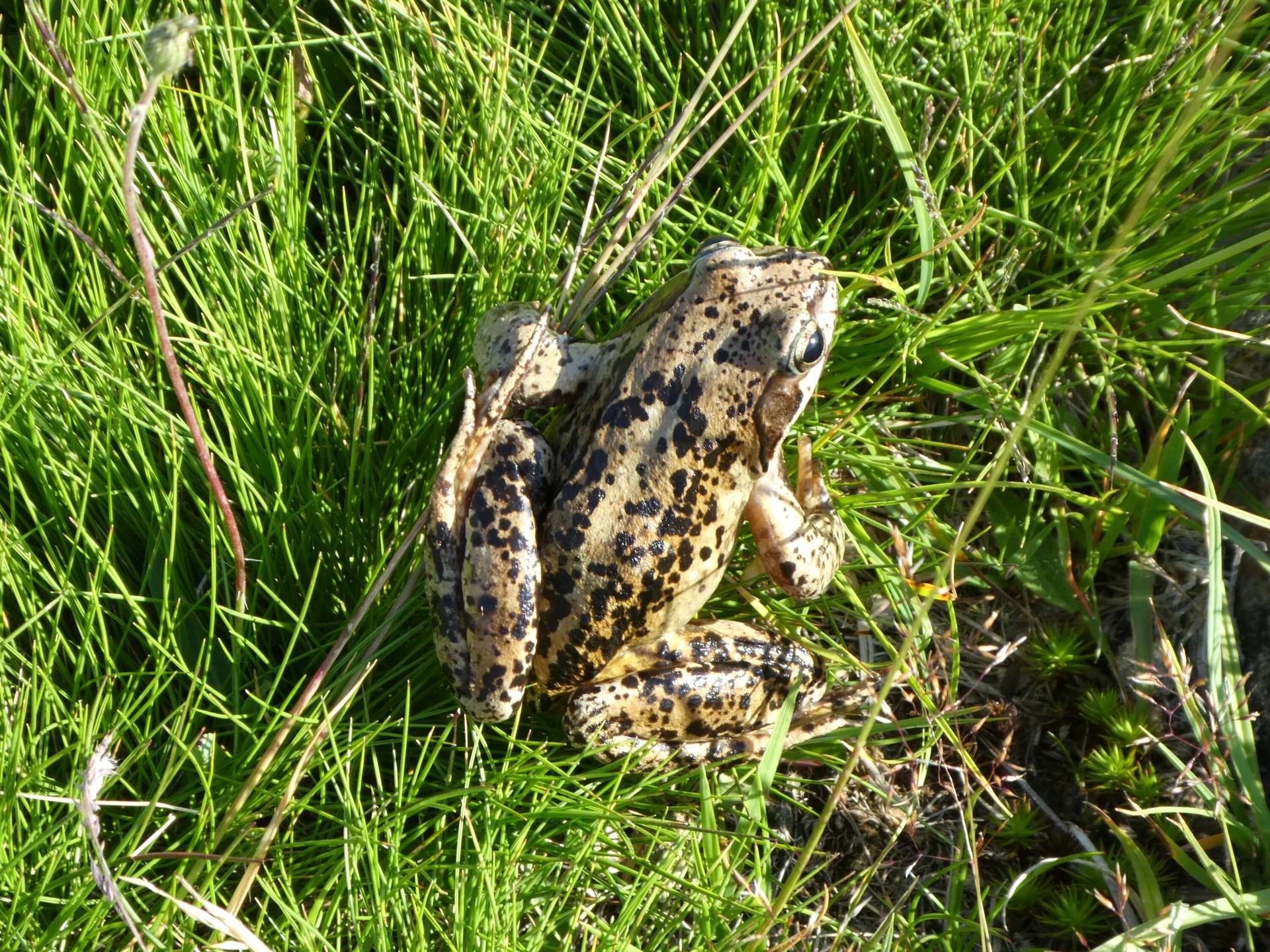 © Bergfreunde München