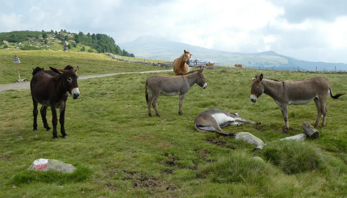 © Bergfreunde München