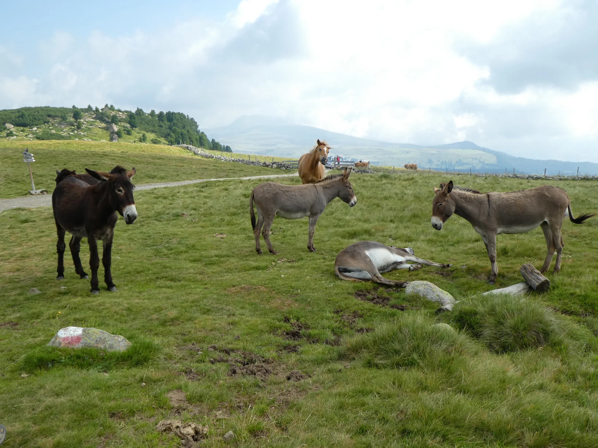 © Bergfreunde München