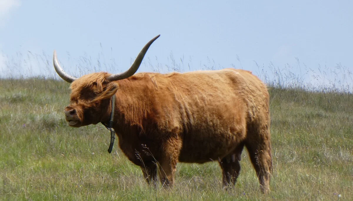 © Bergfreunde München