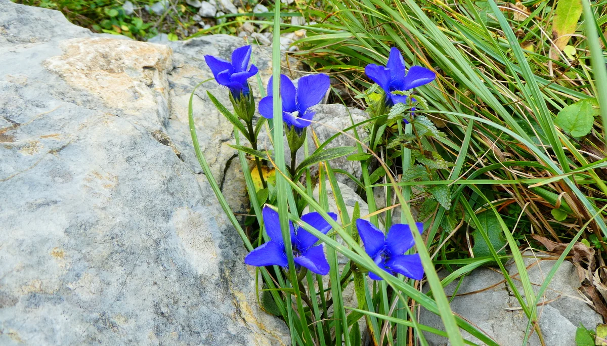 © Bergfreunde München
