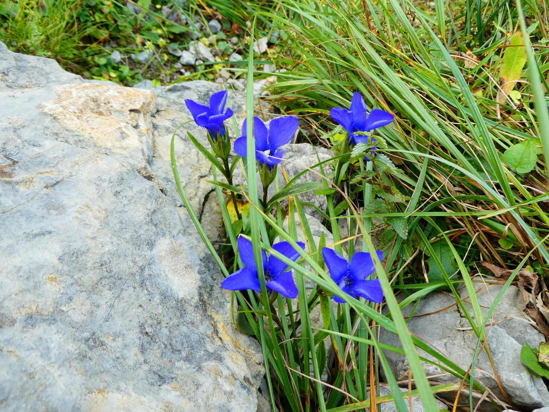 © Bergfreunde München