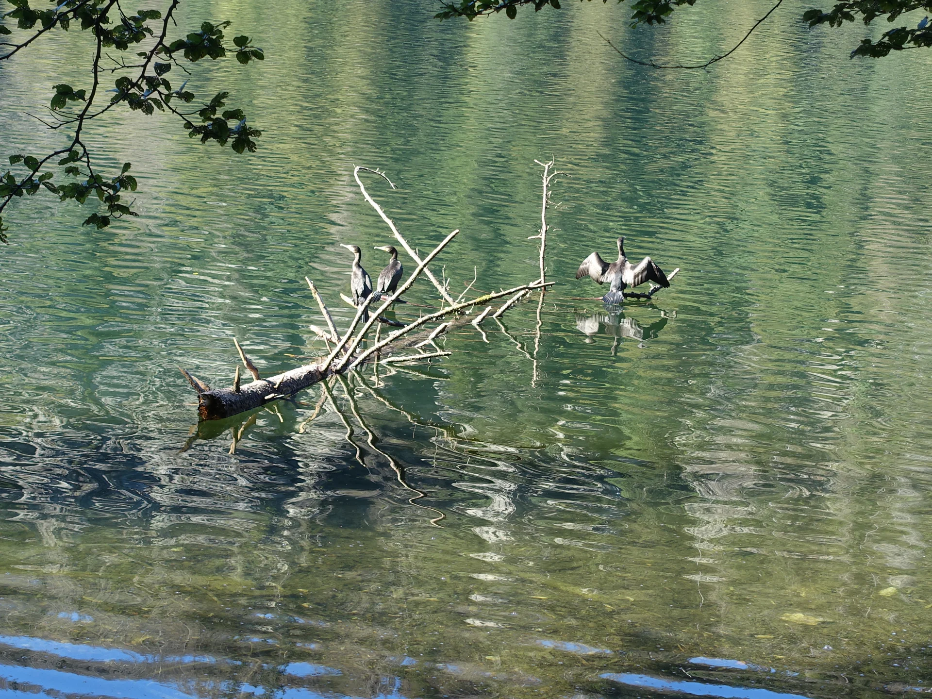© Bergfreunde München ms