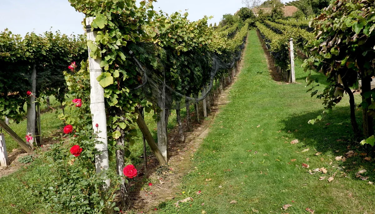 © Bergfreunde München