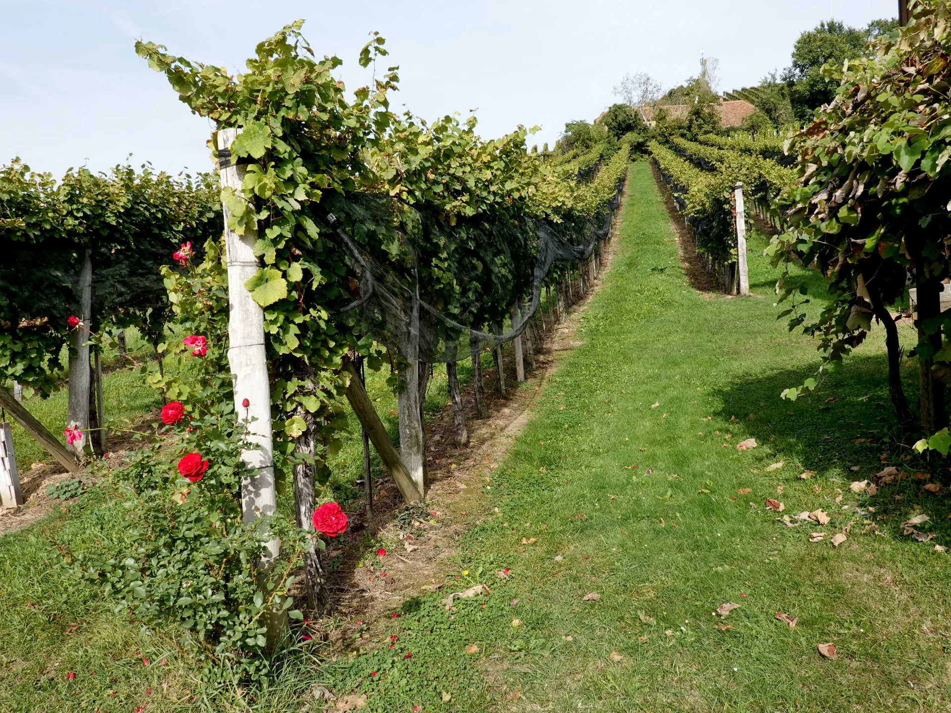 © Bergfreunde München