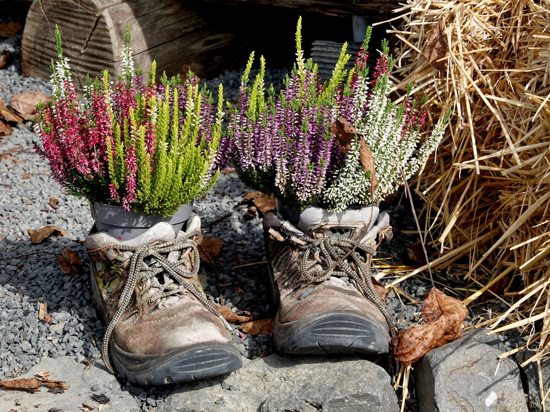 © Bergfreunde München