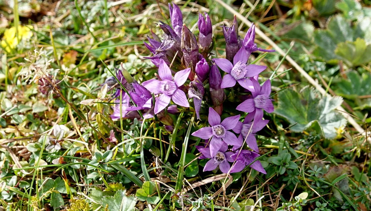© Bergfreunde München