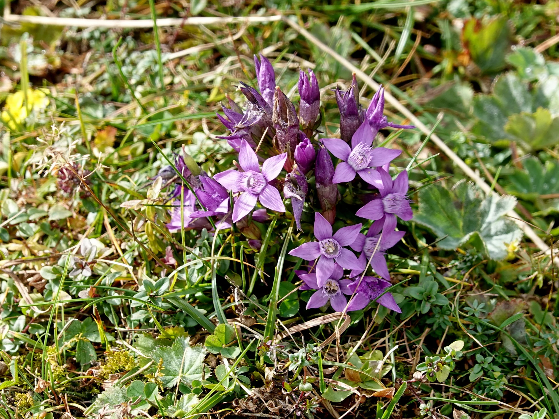 © Bergfreunde München