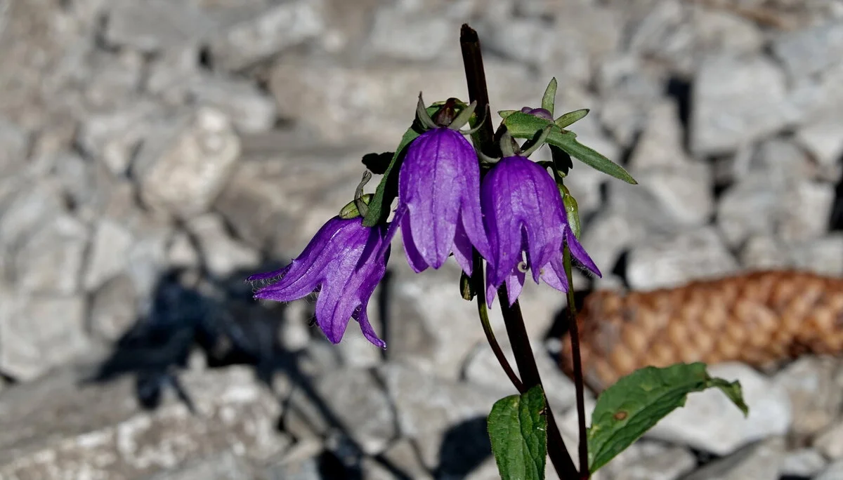 © Bergfreunde München