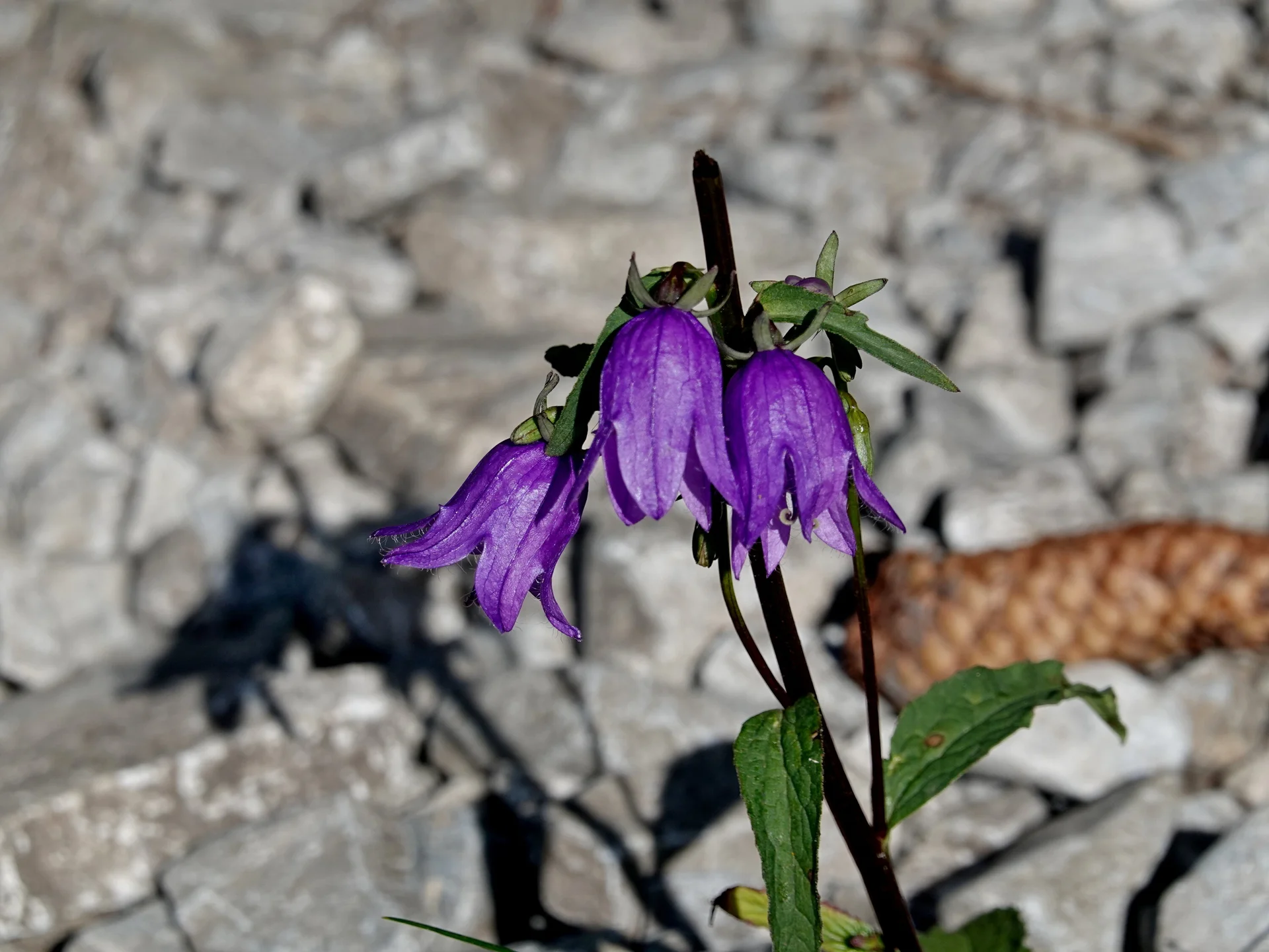 © Bergfreunde München