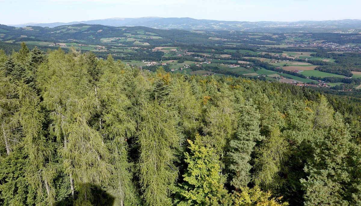 © Bergfreunde München