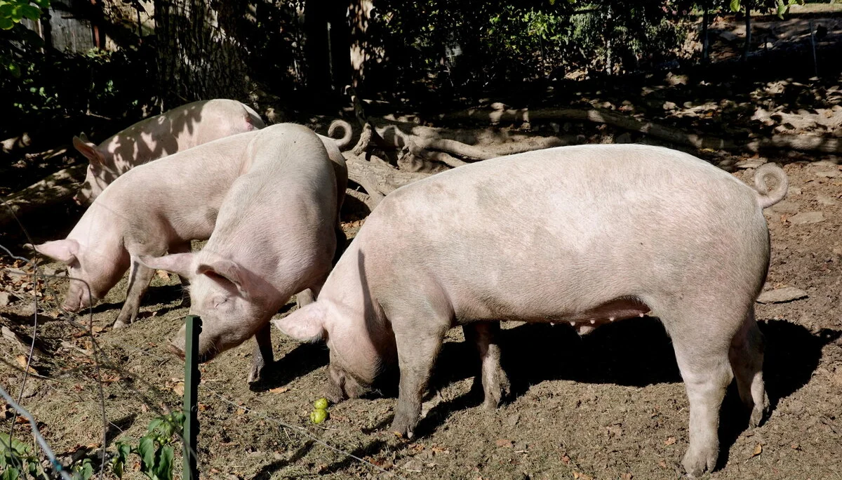 © Bergfreunde München