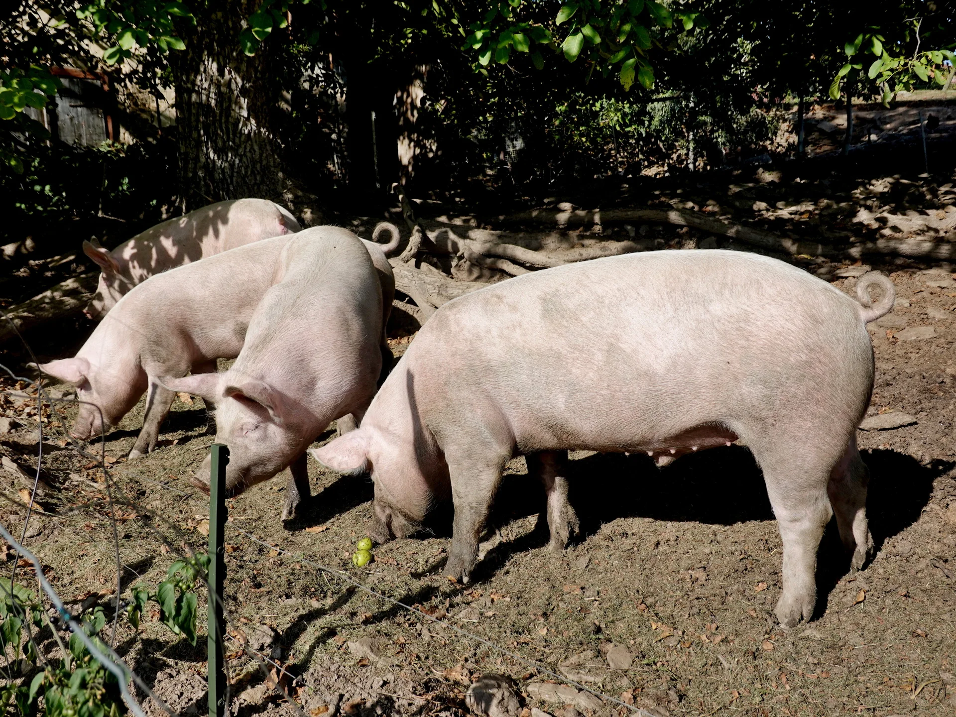 © Bergfreunde München