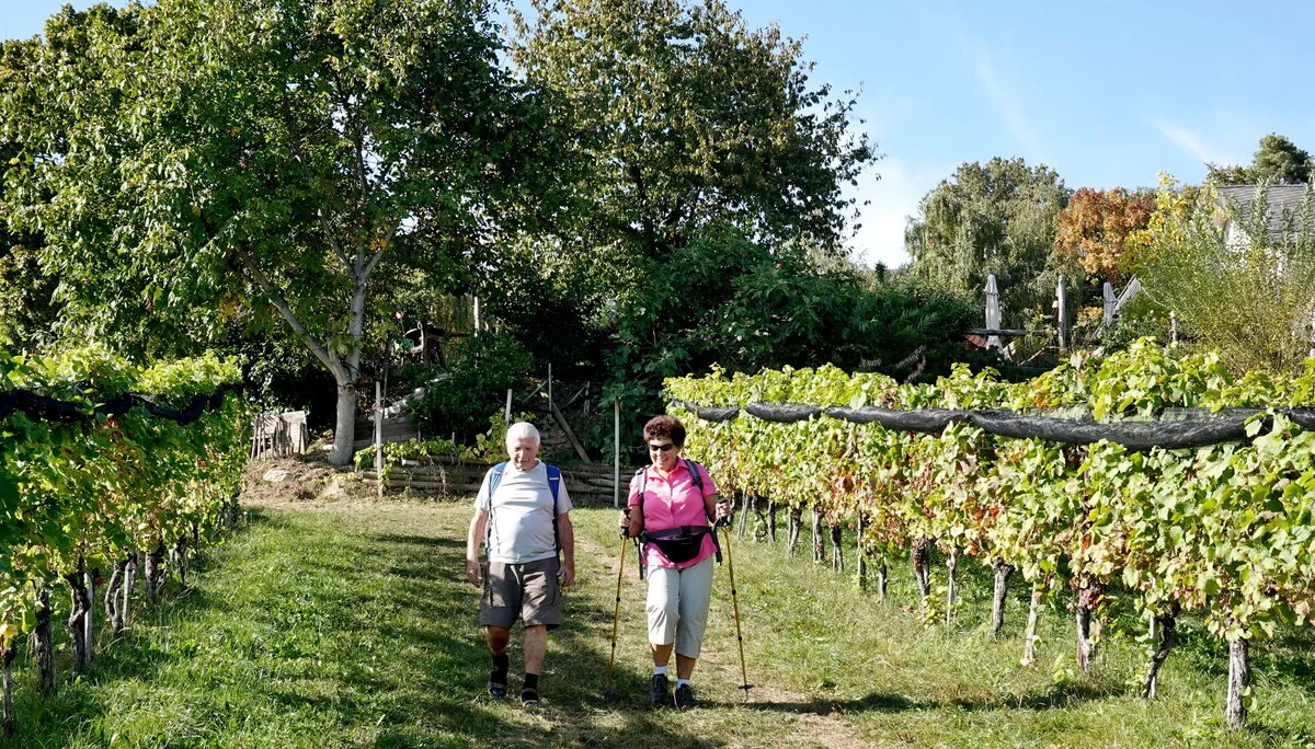 © Bergfreunde München