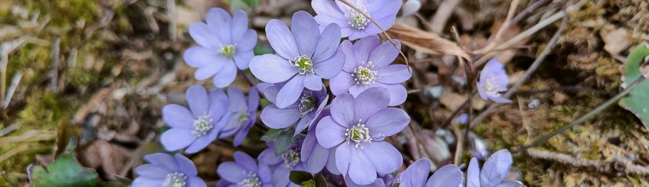 © Bergfreunde München JvU