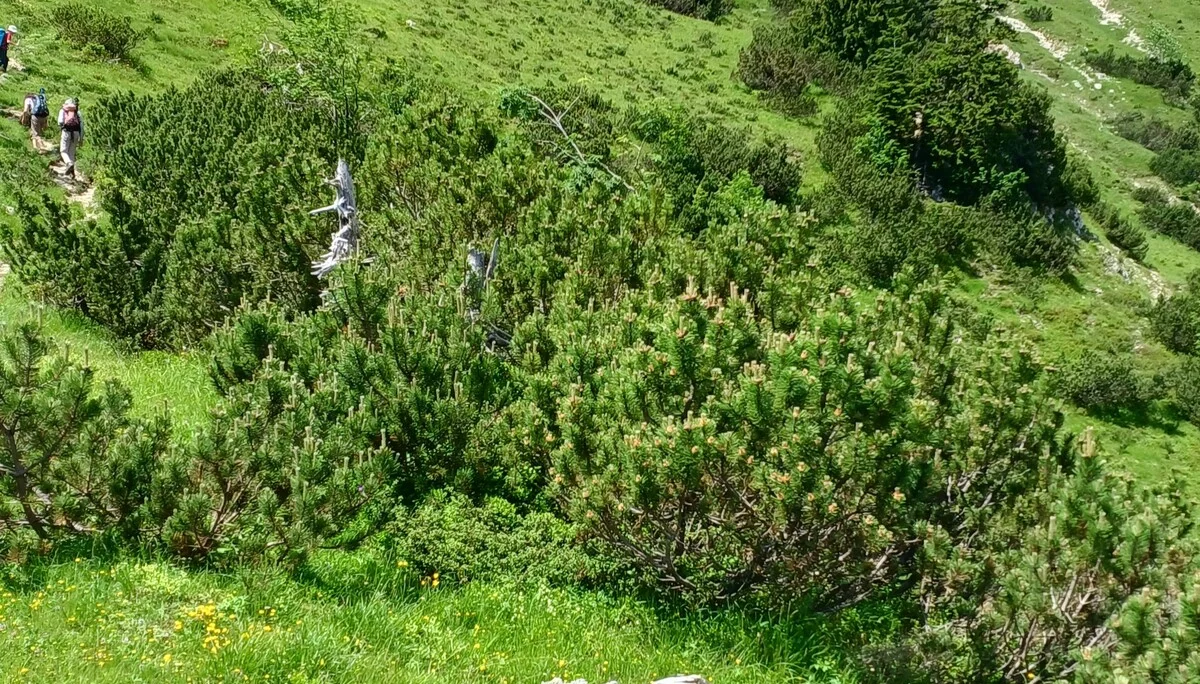 © Bergfreunde München hn