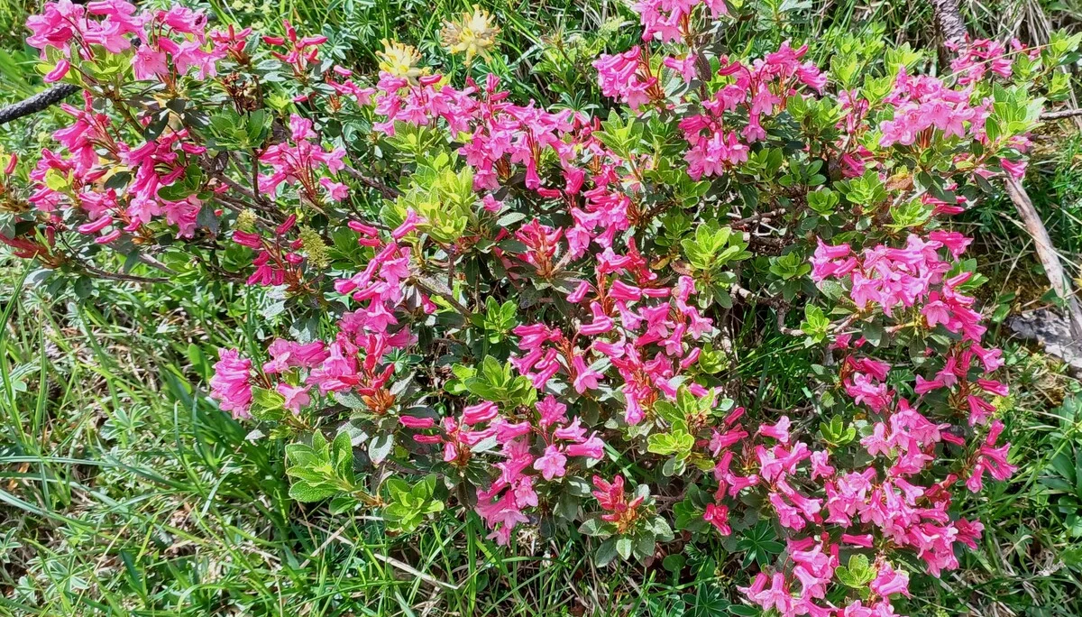 © Bergfreunde München hn