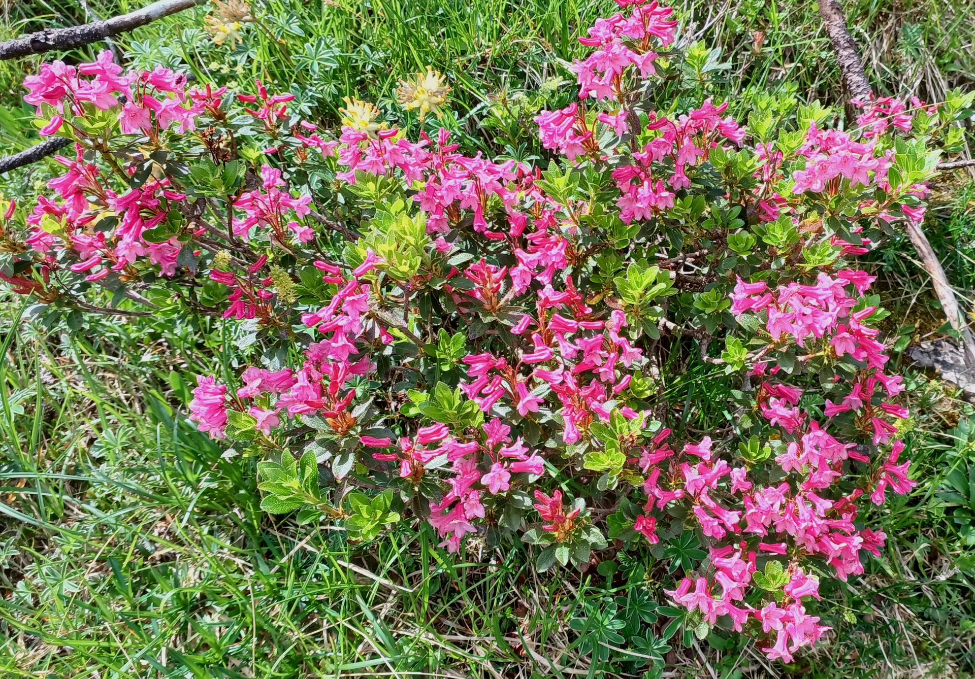 © Bergfreunde München hn