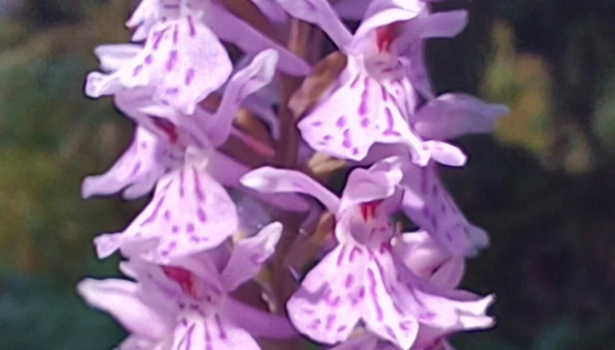 © Bergfreunde München hn