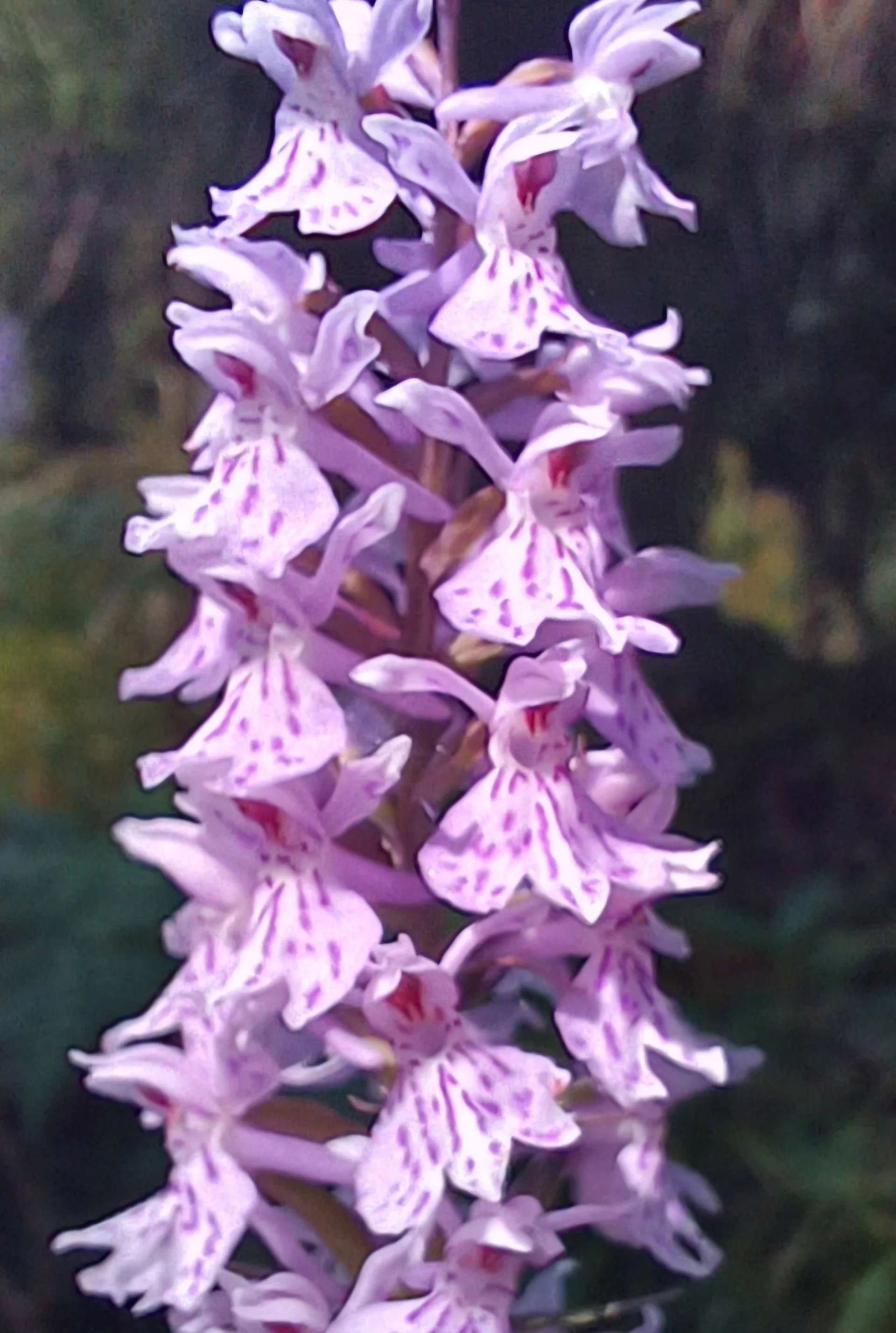© Bergfreunde München hn