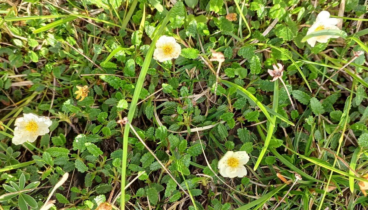 © Bergfreunde München hn