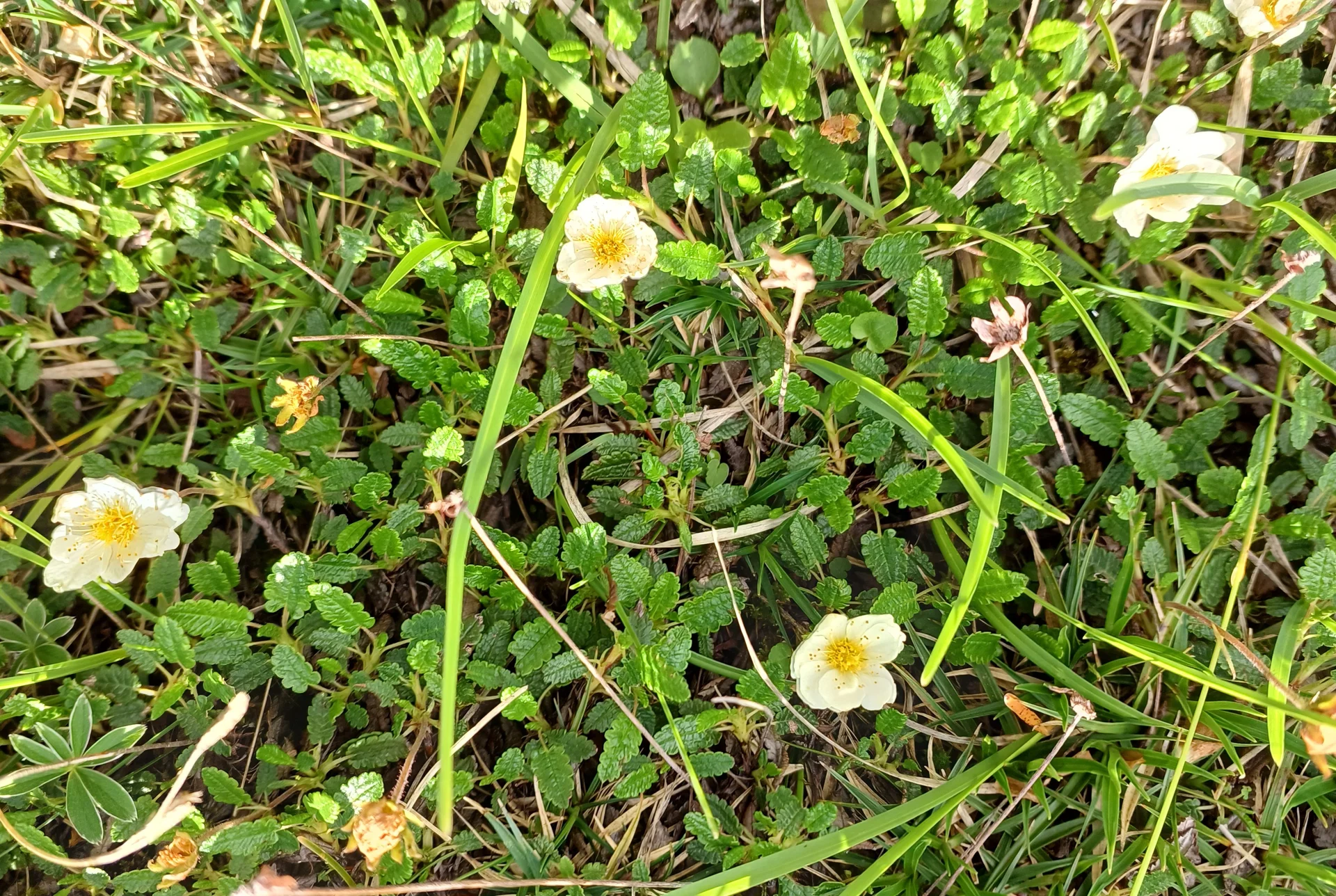 © Bergfreunde München hn