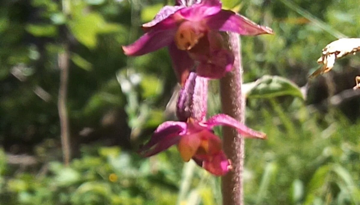 © Bergfreunde München hn