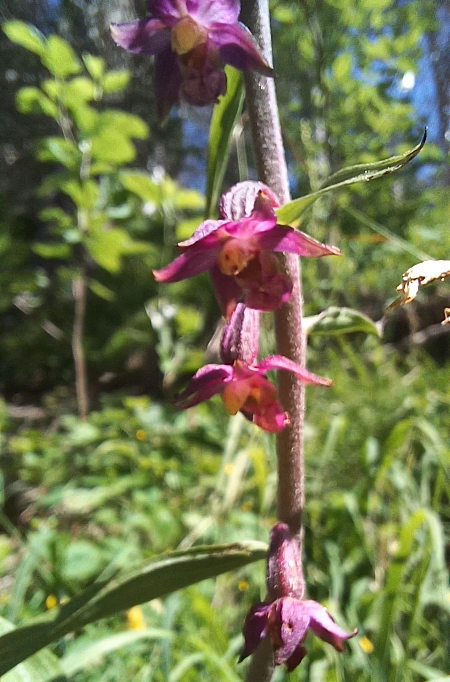 © Bergfreunde München hn
