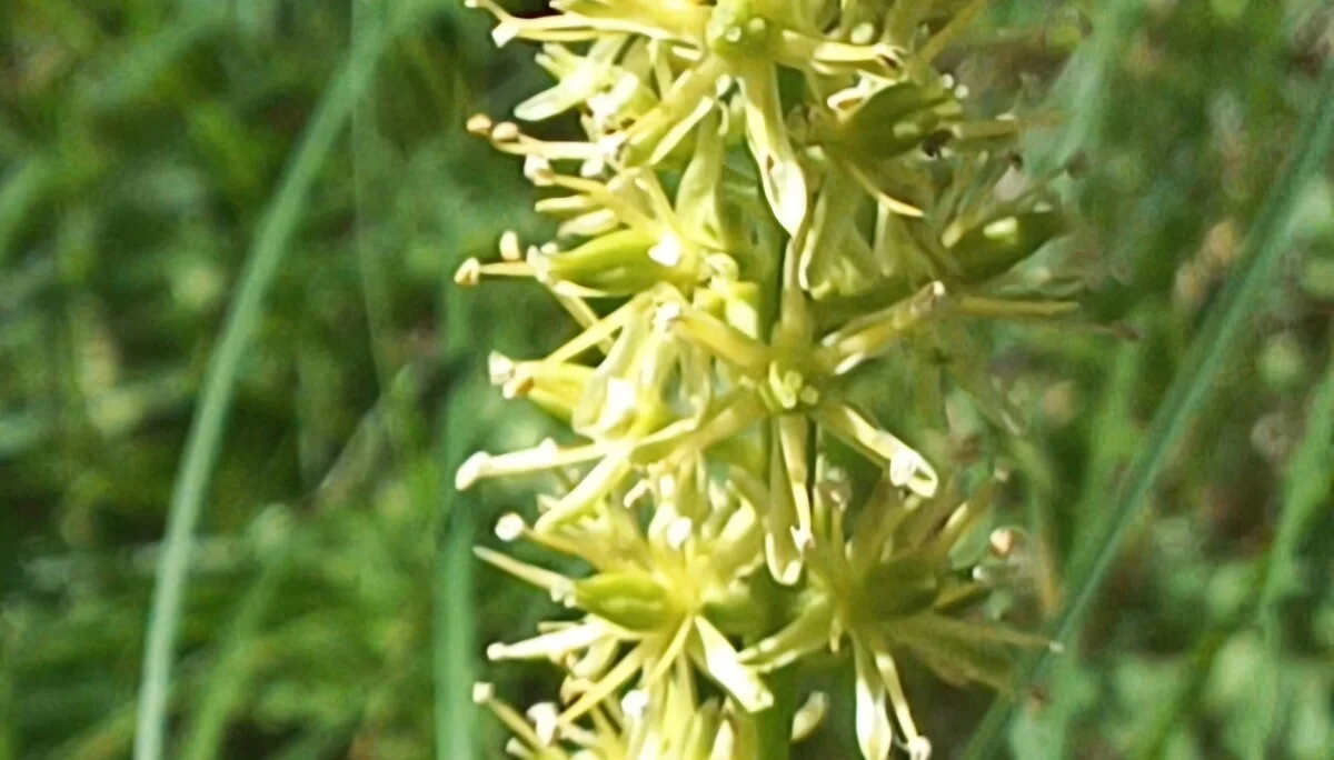 © Bergfreunde München hn